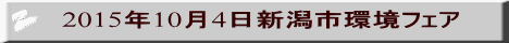 2015N104VstFA 