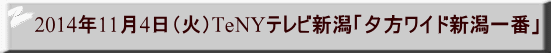 2014N114i΁jTeNYerVu[ChVԁv 