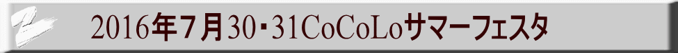 2016NV30E31CoCoLoT}[tFX^ 